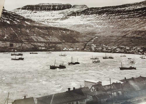 Faroe 29